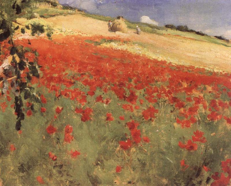  Landscape with Poppies